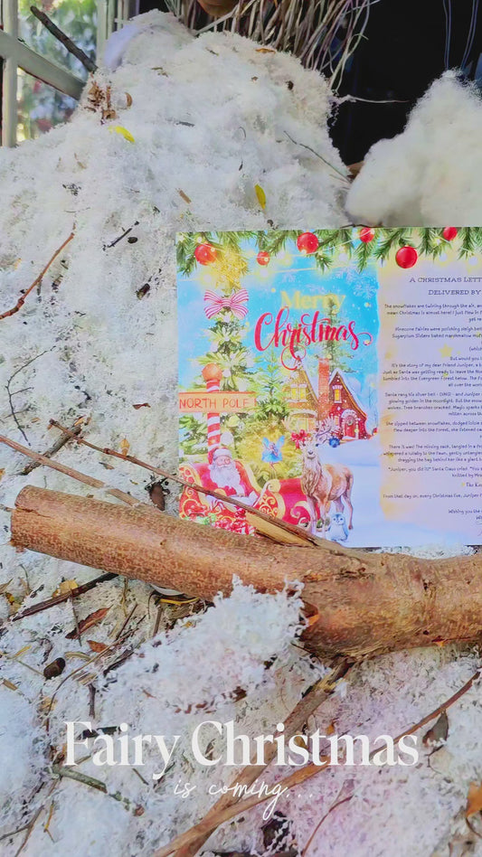 Fairy Christmas Letter – Limited Edition